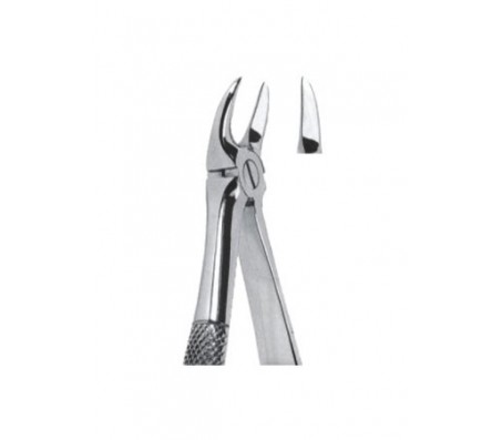 Extracting Forceps